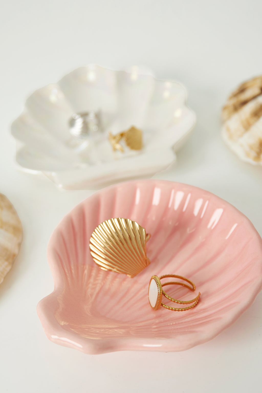 Muschelschild aus Glas