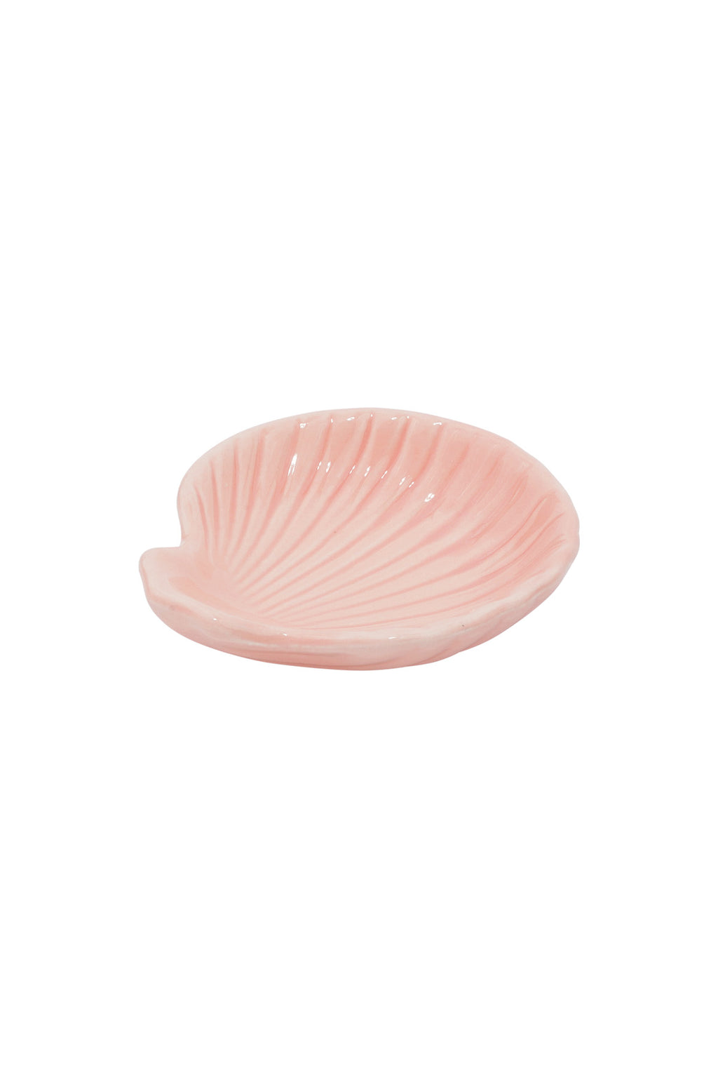 Muschelschild aus Glas