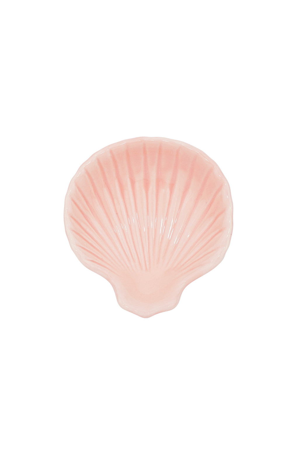 Muschelschild aus Glas
