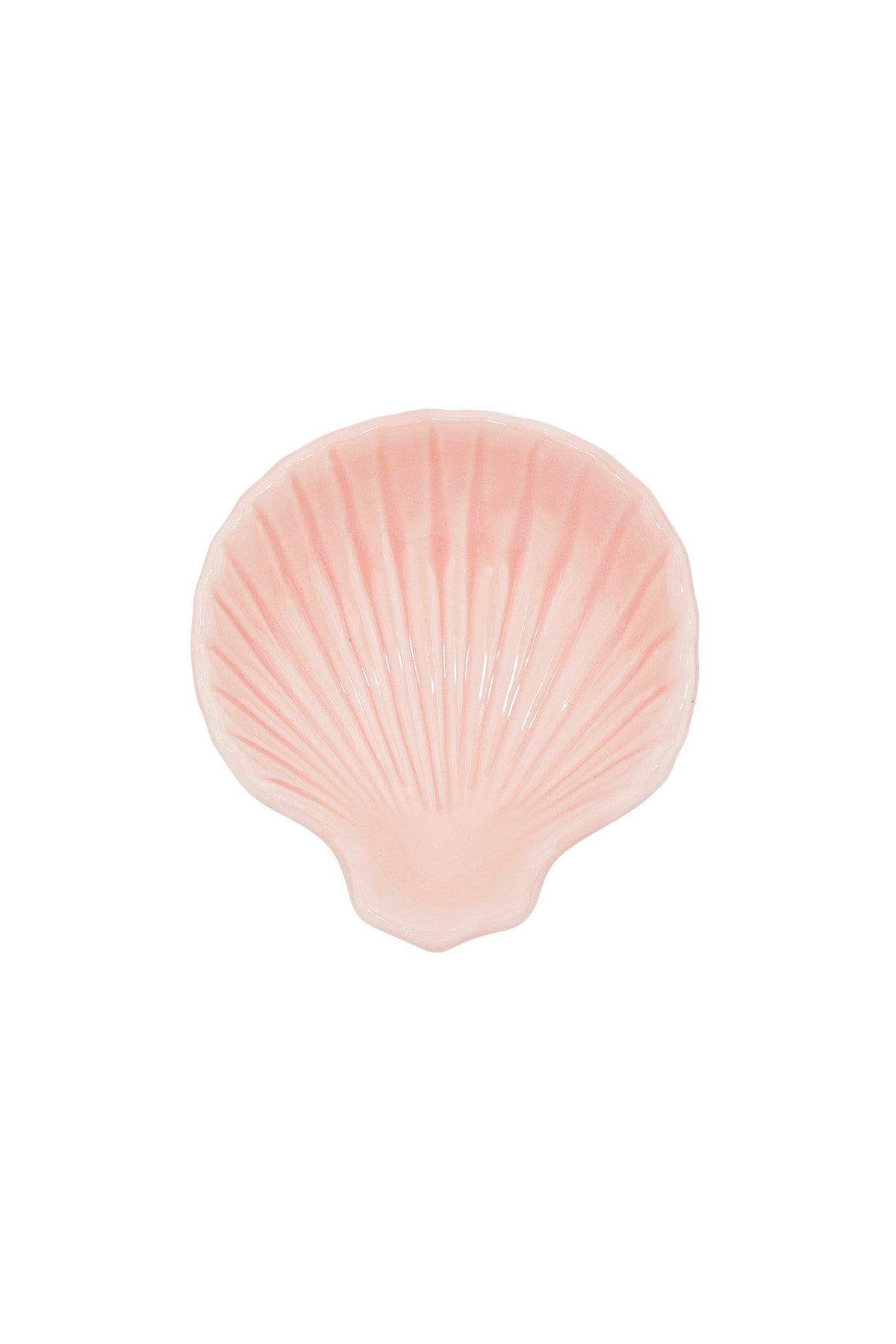 Muschelschild aus Glas