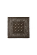 Winterschals mit Paisley-Muster, klassisch aus Polyester, Alltagsaccessoires